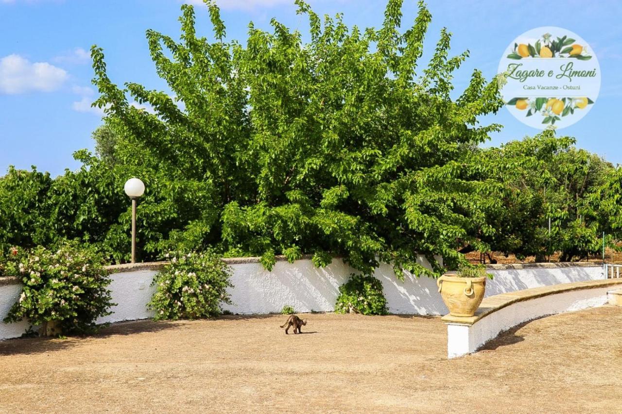 Ferienwohnung Zagare E Limoni Ostuni Exterior foto